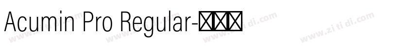 Acumin Pro Regular字体转换